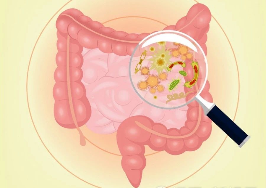 srchttp___www_4uwo.jpg srchttp___www_4uwo.jpg