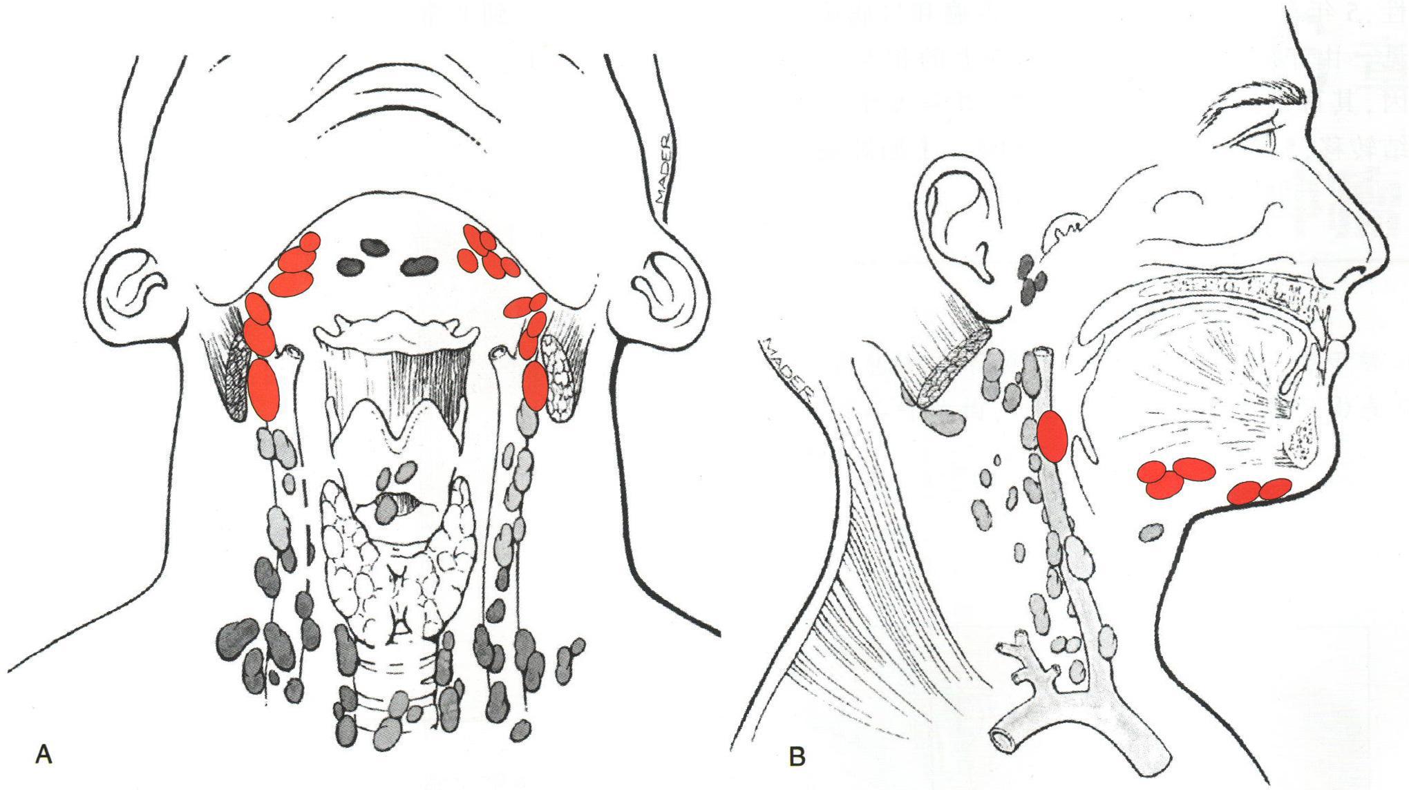 42166d224f4a20a48c836d6c9c529822730ed0f8.jpg 42166d224f4a20a48c836d6c9c529822730ed0f8.jpg