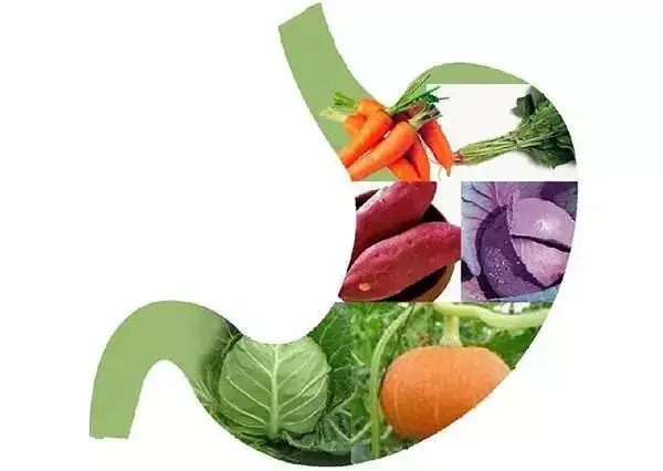 胃癌吃哪些食物对身体好?