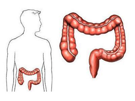 结肠癌术后多久开始化疗