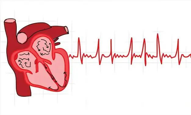 640 (2)_看图王.web.jpg