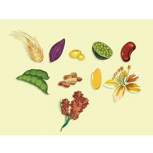 640 (4)_看图王.web.jpg