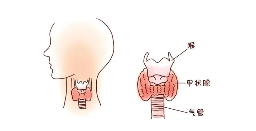 640 (9)_看图王.web.jpg