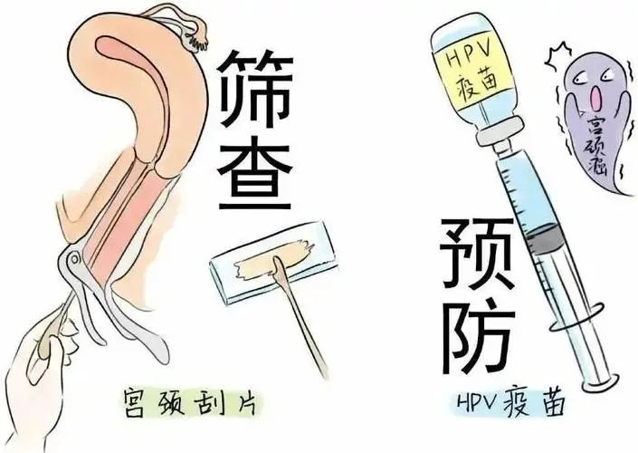 640 (7)_看图王.web.jpg