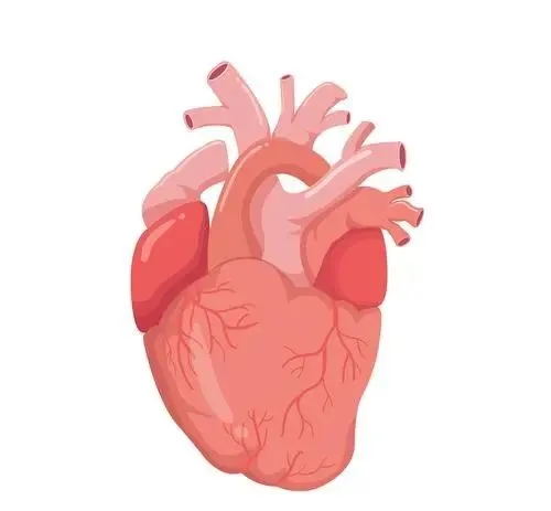 这些心脏最怕的事，你可能每天都在做