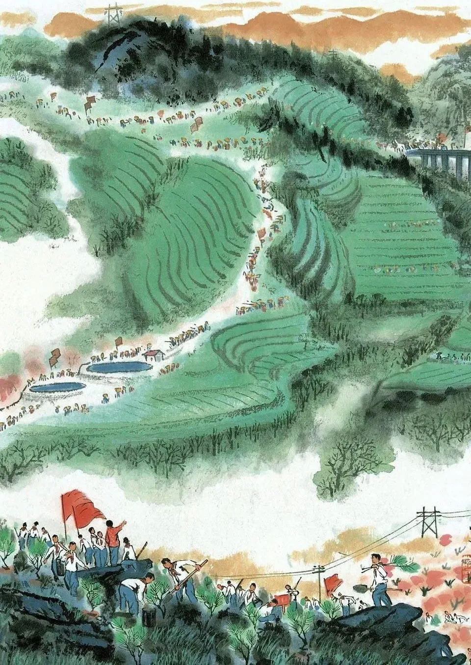 植树造林，为身体构建抵御肿瘤的 “绿色防线”