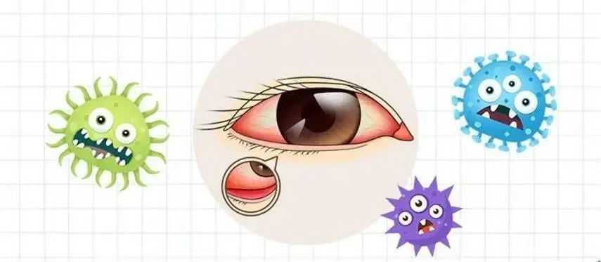 640 (6)_看图王.web(2).jpg