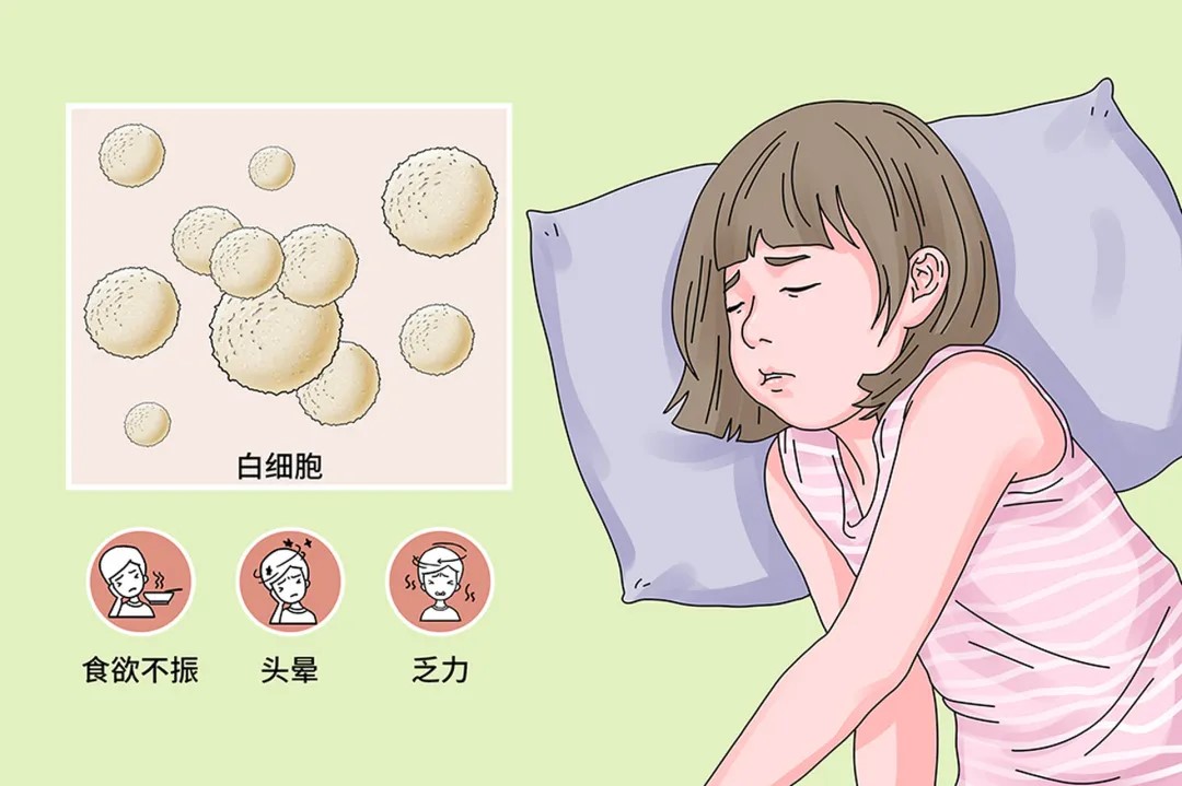 血常规报告单上这个数值异常?当心“血癌”找上门!(图2) 640 (5).jpg