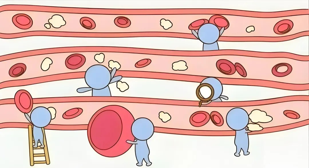 血常规报告单上这个数值异常?当心“血癌”找上门!(图4) 640 (3).jpg