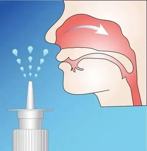 春季过敏急救清单:从药物到食疗,照做就能缓解!(图10) 640 (9)_看图王.web.jpg