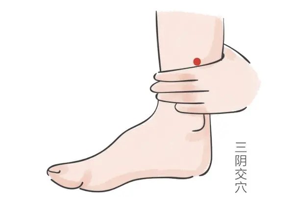 清明时节,天地阳气升发、万物复苏的关键时节,养生重在疏肝健脾、防风祛湿(图4) 640 (3).jpg