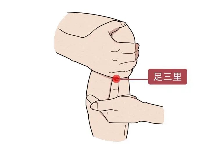 清明时节,天地阳气升发、万物复苏的关键时节,养生重在疏肝健脾、防风祛湿(图11) 640 (10).jpg