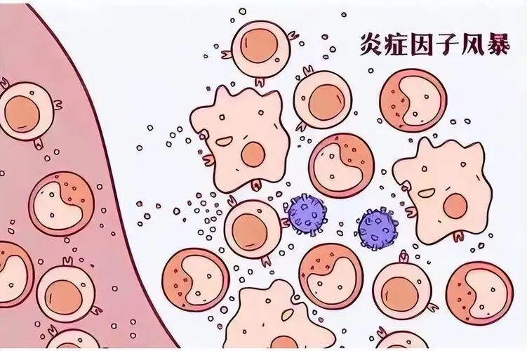 640 (13)_看图王.web.jpg