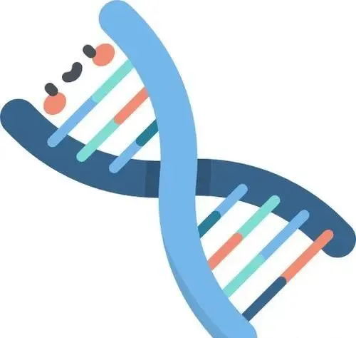 "轻轻磕碰就淤青不止?警惕这种‘玻璃人’的隐形危机" (图3) 640 (18)_看图王.web.jpg