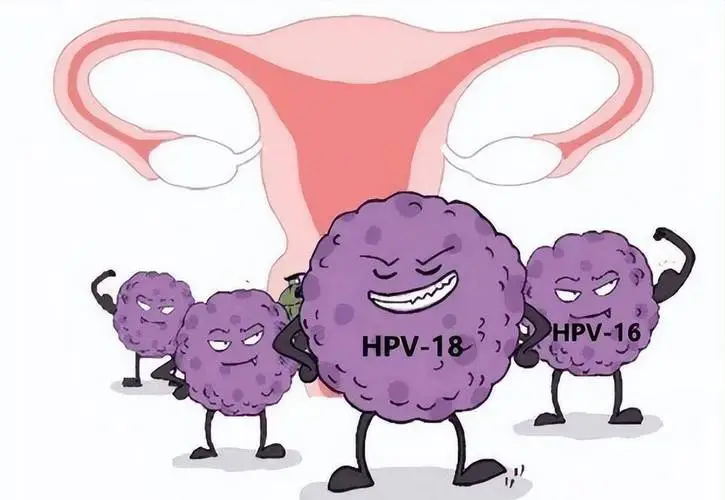 640 (2)_看图王.web.jpg