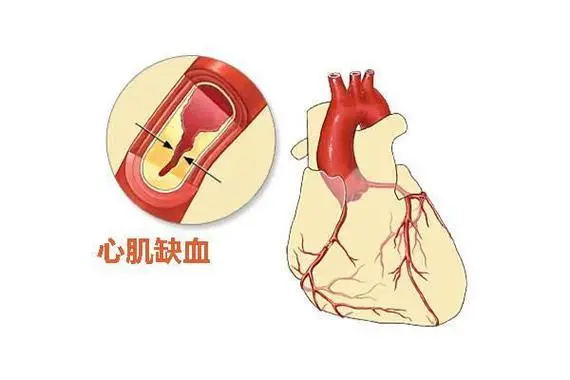 640 (6)_看图王.web.jpg