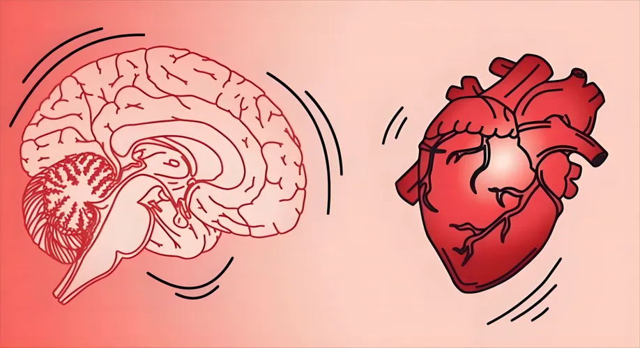 640 (28)_看图王.web.jpg