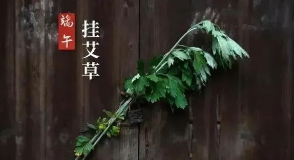 端午艾草香,但这类"防癌偏方"千万别信!科学防癌记住3点