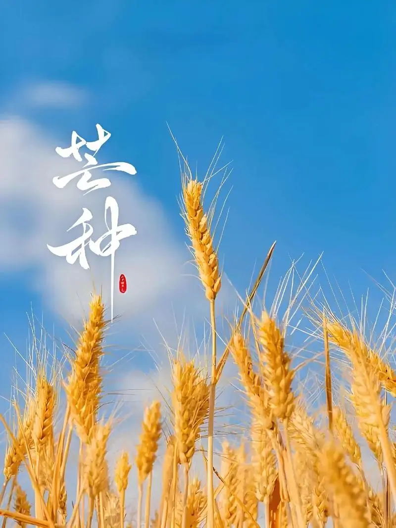 肿瘤患者夏季生死关!芒种做好这5点,生存率提高30%