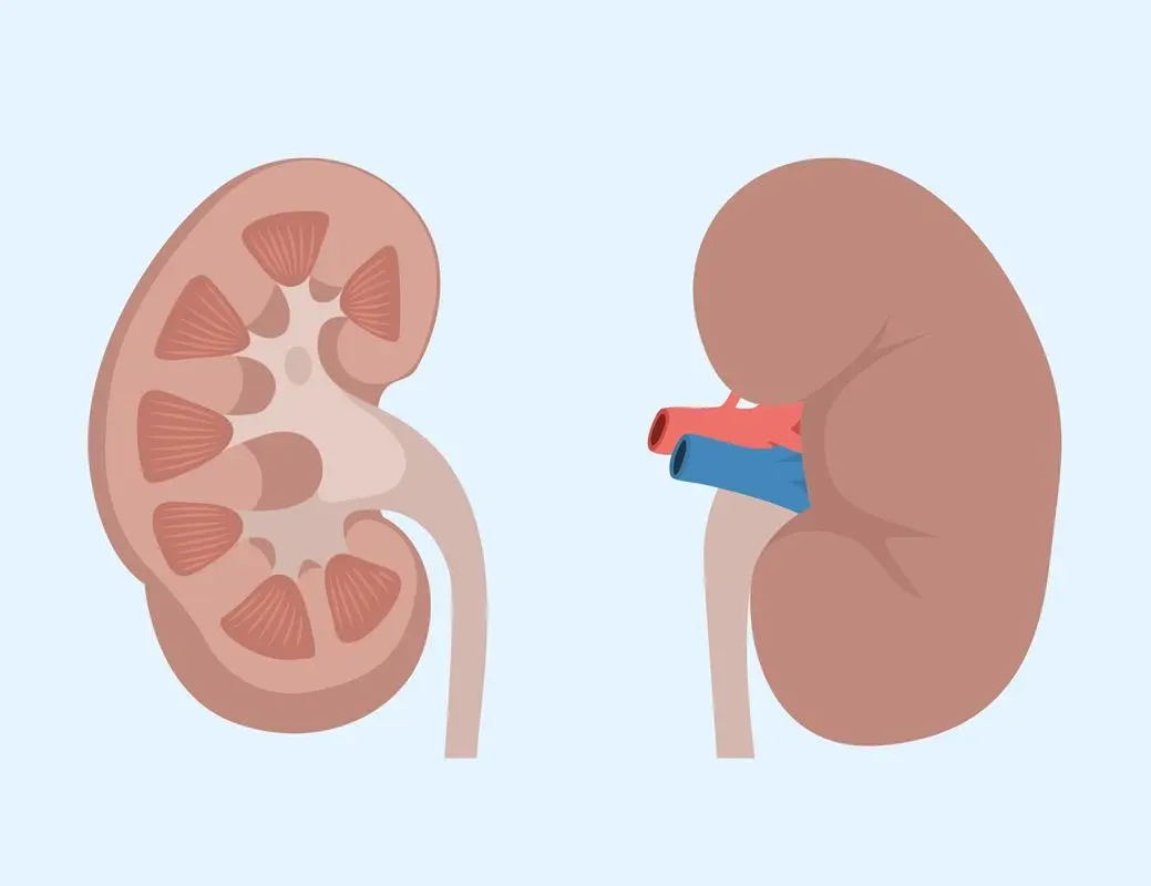 640 (11)_看图王.web.jpg