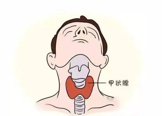 体检单上这5个指标异常,可能是身体在"求救"!(图6) 640 (9)_看图王.web.jpg