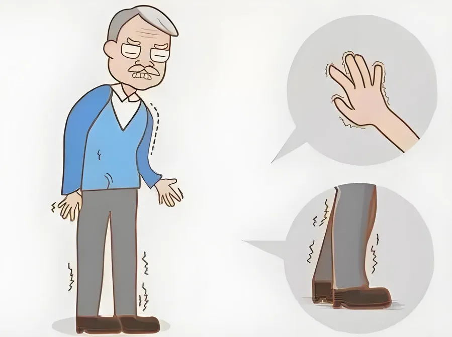 脑供血不足,耳朵先遭殃!一文读懂“耳卒中”风险(图5) 640 (9)_看图王.web.jpg