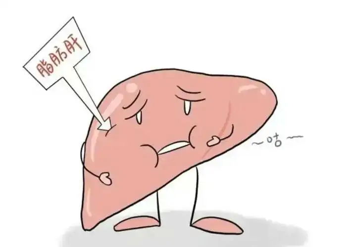 脂肪肝是肝脏的“隐形炸弹”!放任不管的后果比肝癌更可怕?(图2) 640 (9)_看图王.web.jpg