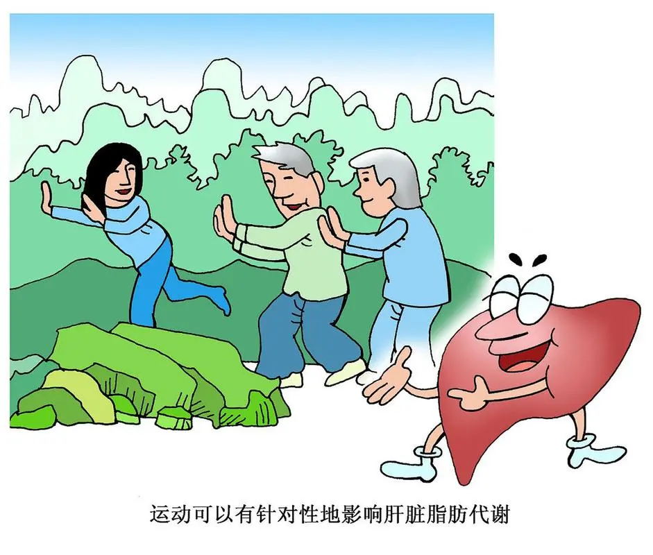 脂肪肝是肝脏的“隐形炸弹”!放任不管的后果比肝癌更可怕?(图5) 640 (6)_看图王.web.jpg