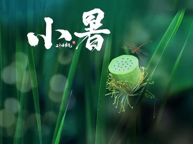 小暑到,肿瘤患者“五怕”!尤其第3个,很多人夏天都在做!