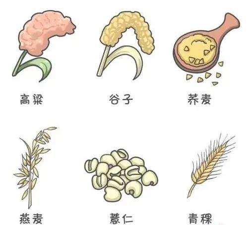 肿瘤患者夏季食谱大全:20种抗癌食物+3道快手凉拌菜(图2) 640 (12)(1).jpg