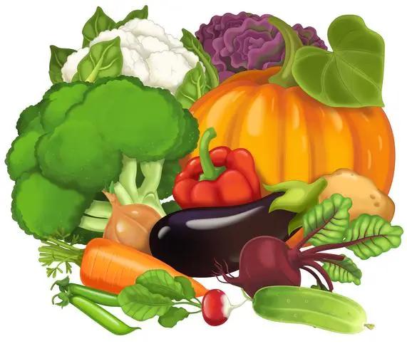 肿瘤患者夏季食谱大全:20种抗癌食物+3道快手凉拌菜(图3) 640 (11)(1).jpg