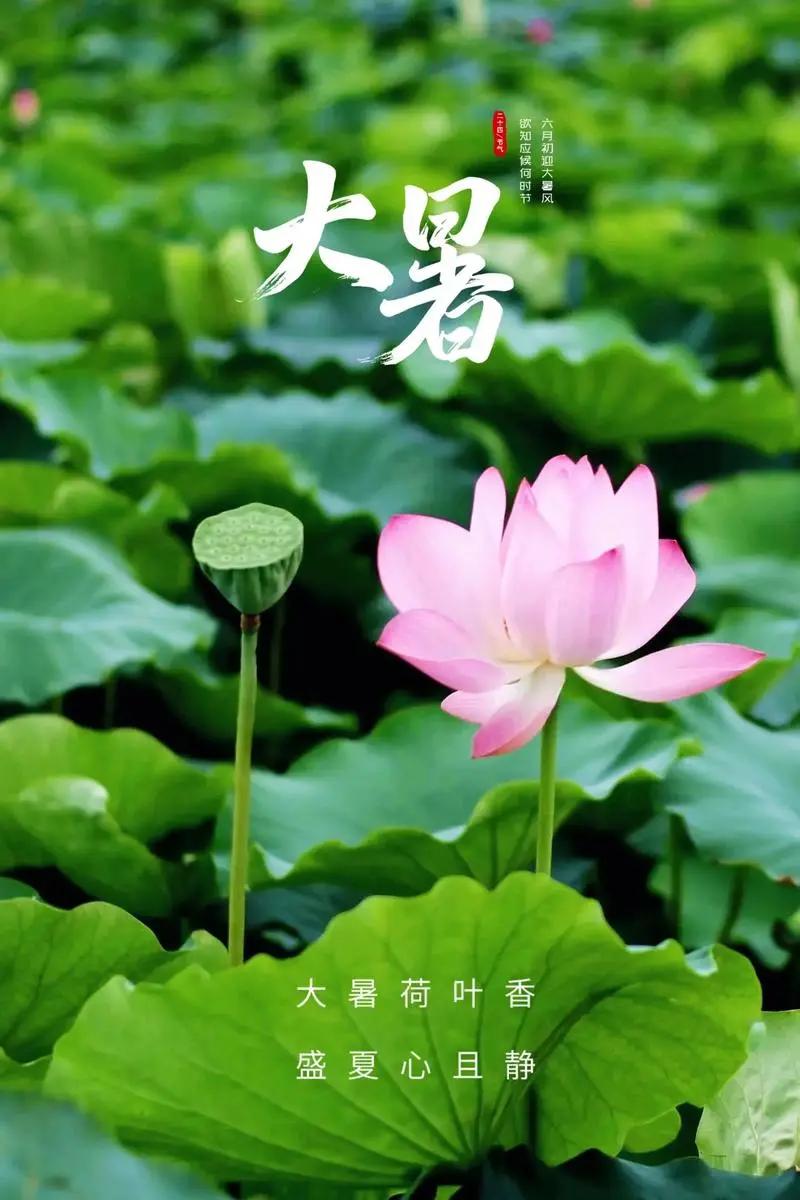 “热毒”最盛时!大暑做好这4件事,癌细胞不易复发