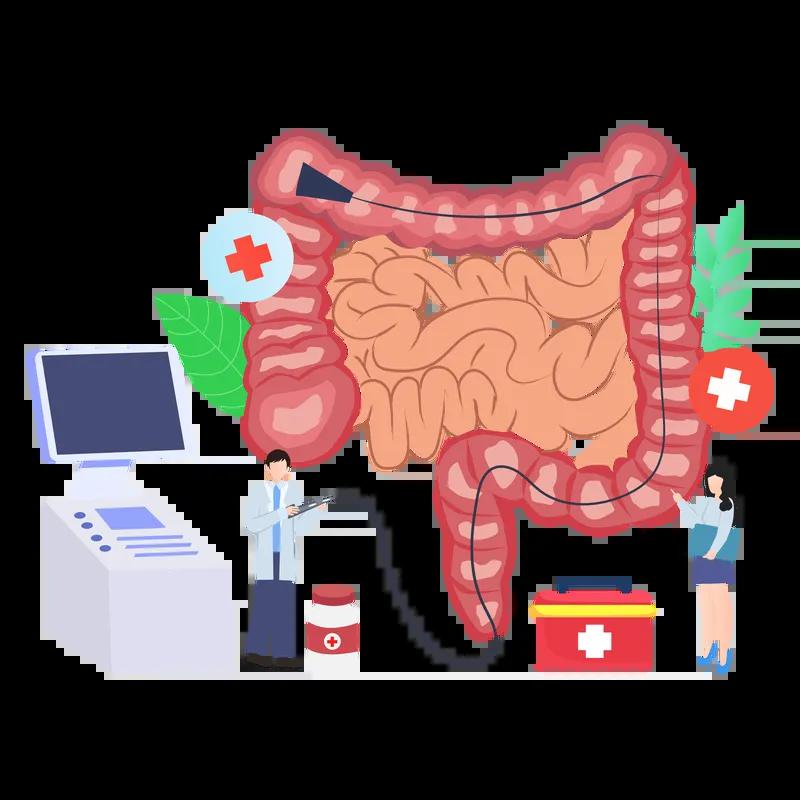 一紧张就腹泻?饭后必跑厕所?肠道“内耗”的真相与破解