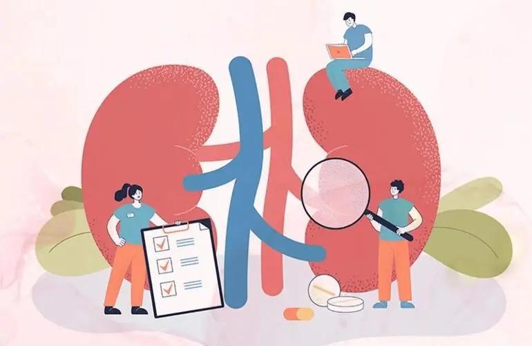 尿毒症盯上年轻人?这些习惯正在悄悄毁掉你的肾(图10) 640 (1)(1).jpg