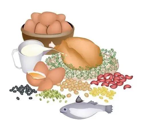 肿瘤患者立秋必补的"黄金营养素",比贴秋膘更重要(图2) 640 (4)(1).jpg