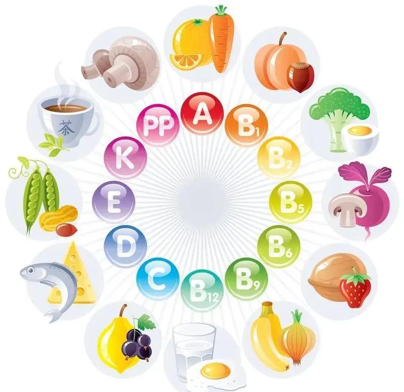 肿瘤患者立秋必补的"黄金营养素",比贴秋膘更重要(图3) 640 (3)(1).jpg