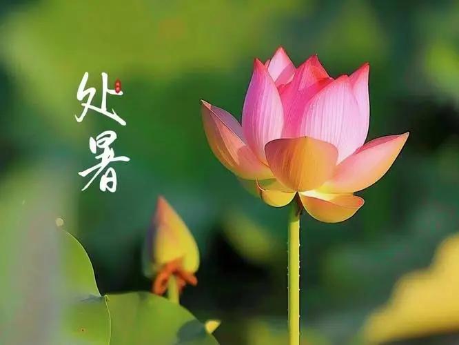 处暑至,秋燥起!肿瘤患者最忌这“三件事”,做错一件都伤身