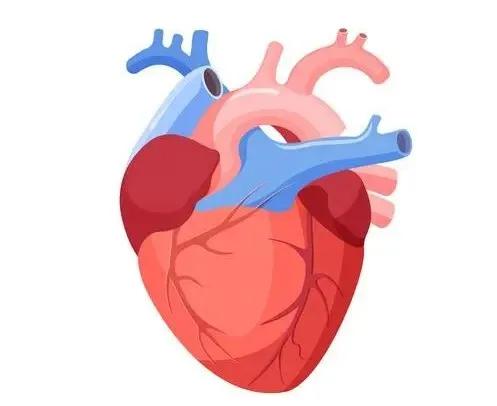 盐吃太多,损害你的多个器官!很多人已超标(图3) 640 (15)(1).jpg