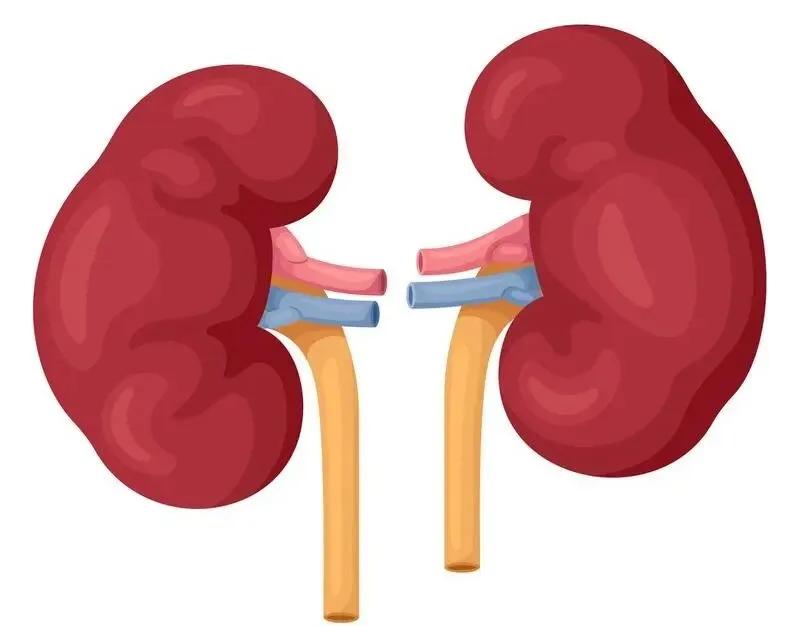 盐吃太多,损害你的多个器官!很多人已超标(图4) 640 (14)(1).jpg