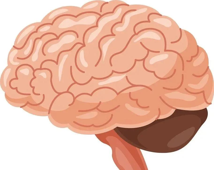 盐吃太多,损害你的多个器官!很多人已超标(图6) 640 (12)(1).jpg