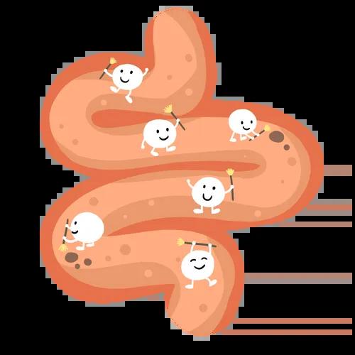 免疫力是最好的“抗癌药”!坚持这4个习惯,癌症绕着你走(图3) 640 (17)(1).jpg